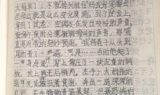 寒假趣事作文500字 他什么了作文500字