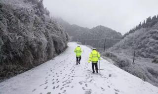 为什么冻雨比雪更可怕 冻雨和雪有什么区别