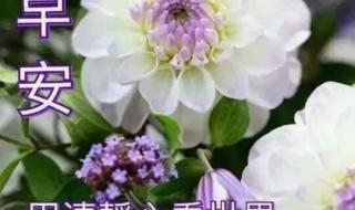 2月14号的情人节是什么情人节 7.14号是什么情人节